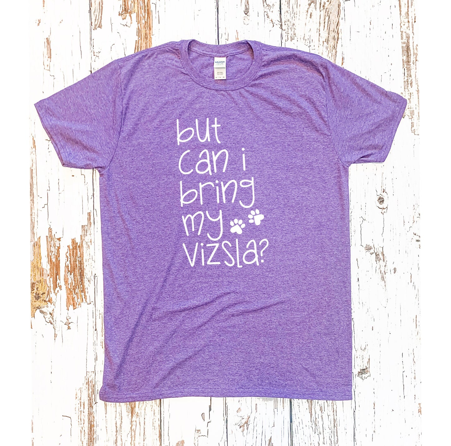 But Can I Bring My Vizsla Shirt, Dog Mom Shirt, Dog Lover Shirt, Vizsla Dog Shirt, Vizsla Dog Lover, Hungarian Vizsla Dog Tee, Vizsla Tshirt