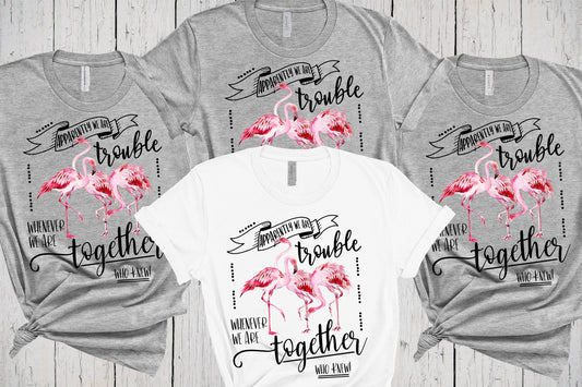 Flamingo Shirt, Apparently We Are Trouble Whenever We Are Together, Girls Trip, Bachelor Party, Bachelorette Party, Girls Night Out T-Shirts