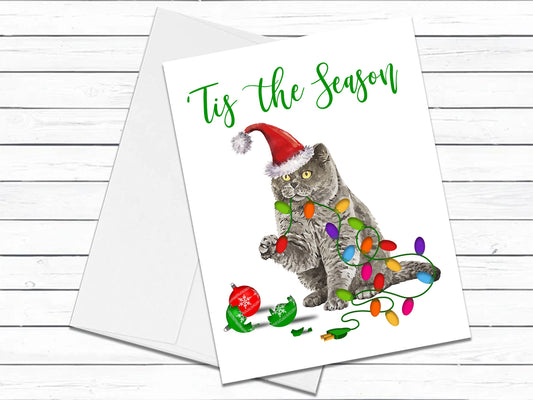 British Shorthair Cat, Christmas Cards, Funny Holiday Cards, Cute Holiday Card, Cat Christmas Card, Holiday Card Set, Cat Lover Gift for Mom