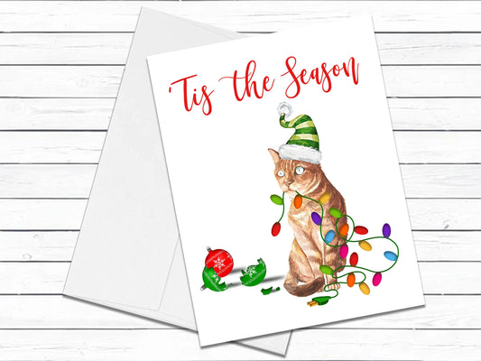 Bengal Cat, Christmas Cards, Funny Holiday Cards, Cute Holiday Card, Cat Christmas Card, Holiday Card Set, Cat Lover Gift, Gift for Cat Mom
