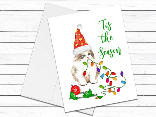 Selkirk Rex Cat, Christmas Cards, Funny Holiday Cards, Cute Holiday Card, Cat Christmas Card, Holiday Card Set, Cat Lover Gift, Gift for Mom