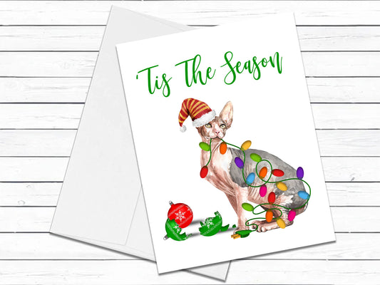 Sphynx Cat, Christmas Cards, Funny Holiday Cards, Cute Holiday Card, Cat Christmas Card, Holiday Card Set, Cat Lover Gift, Sphynx Cat Gifts