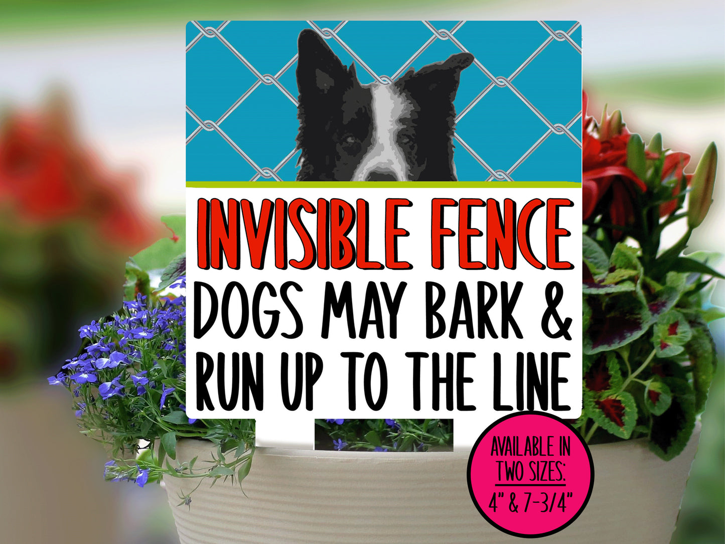 Border Collie Invisible Fence Sign, Outdoor Sign, Porch Sign, Metal Sign, Warning Sign, Dog Sign for Home, Small Yard Sign, Dog Fence Sign