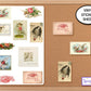Vintage Valentine Birds Sticker Sheet, Journal Stickers, Valentine Gift Tags Embellishment, Bird Stickers, Retro Stickers, Planner Stickers