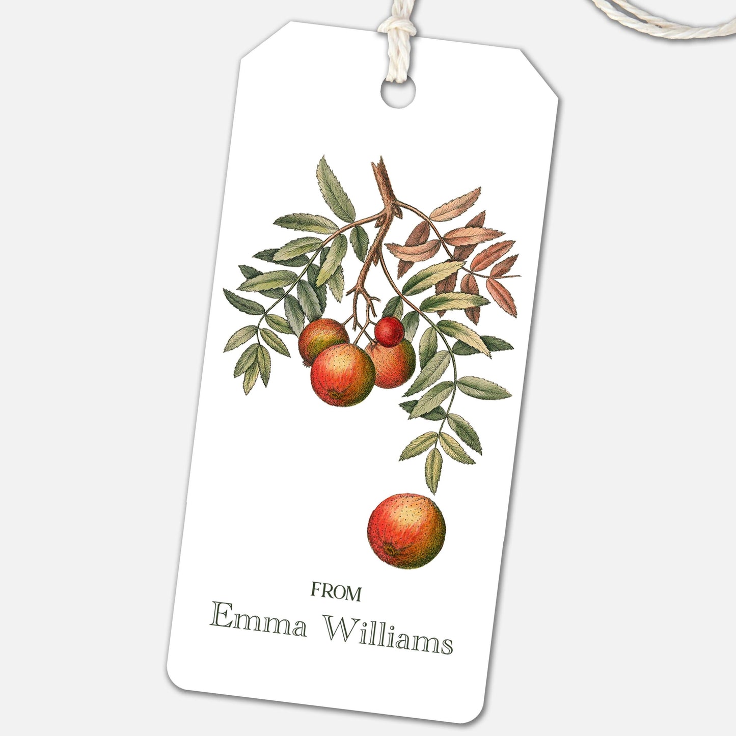 Personalized Gift Tags, Apple Branch Vintage Ephemera, Thank You Tag, Wine Tags, Birthday Present Tags, Bridal Shower Tag, Wedding Tags