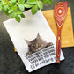 Maine Coon Cat Every Snack You Make Funny Kitchen Towel, Cat Lover Gift Men, Kitchen Cat Decor Dish Towel, Gift for Best Cat Mom, Kitty Dad