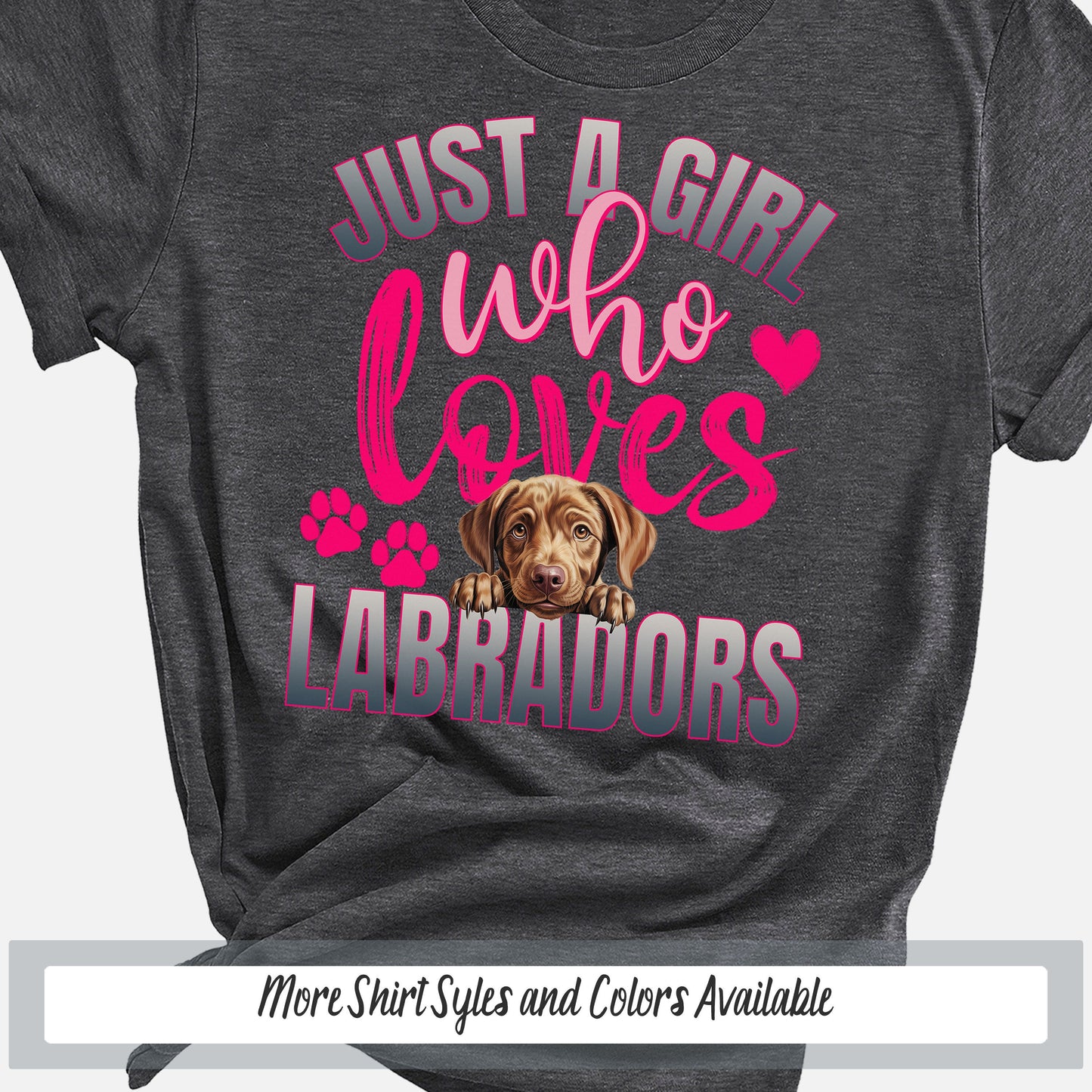 a shirt that says just a girl who loves labradors