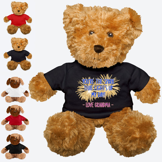 a teddy bear wearing a t - shirt with fireworks on it