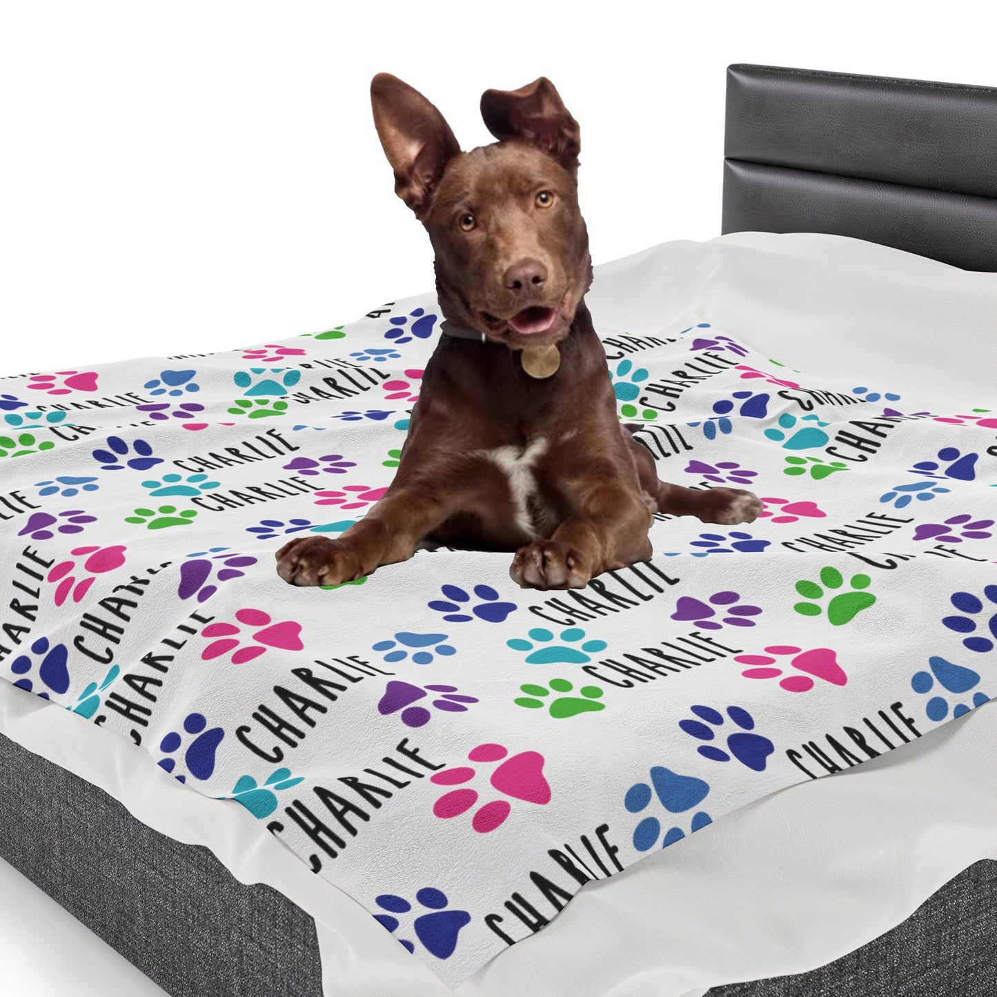 a brown dog laying on top of a dog bed