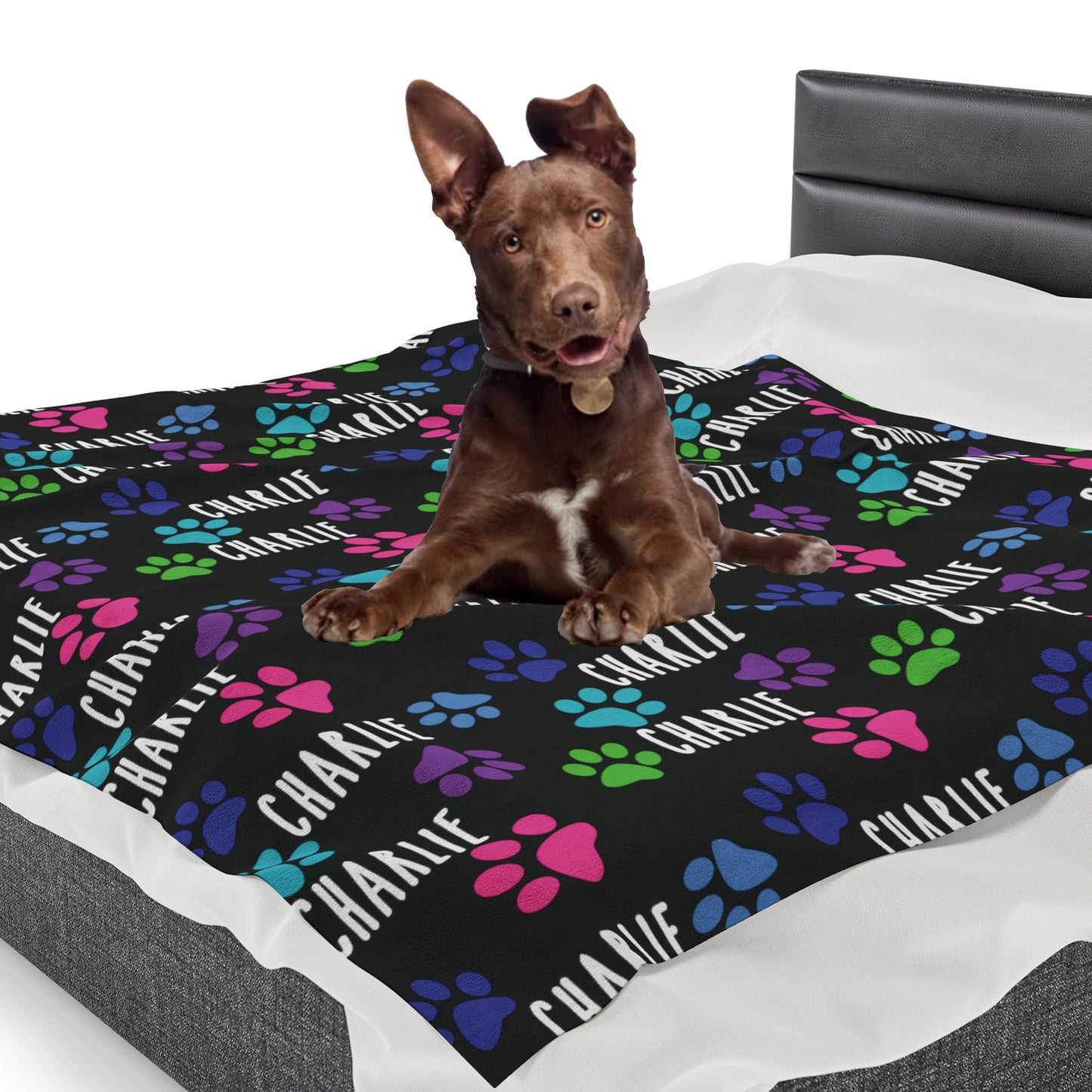 a brown dog laying on top of a dog bed