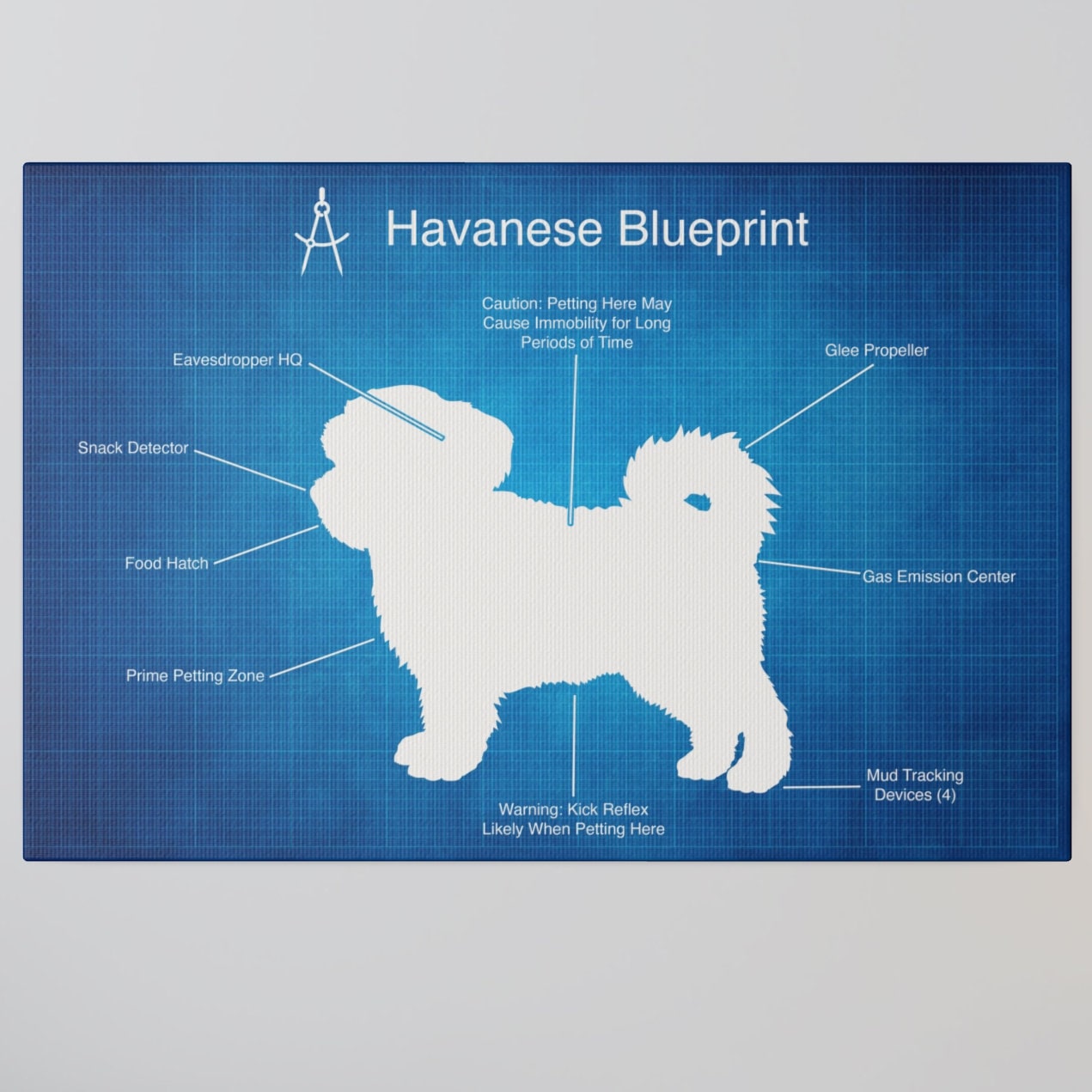 a blueprint of a dog's features on a wall