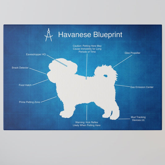a blueprint of a dog&#39;s features on a wall