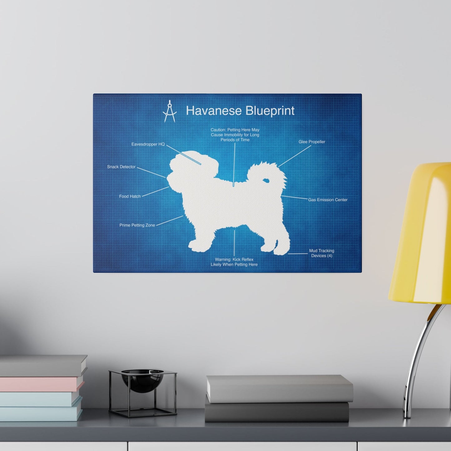 a blueprint of a dog's features on a wall