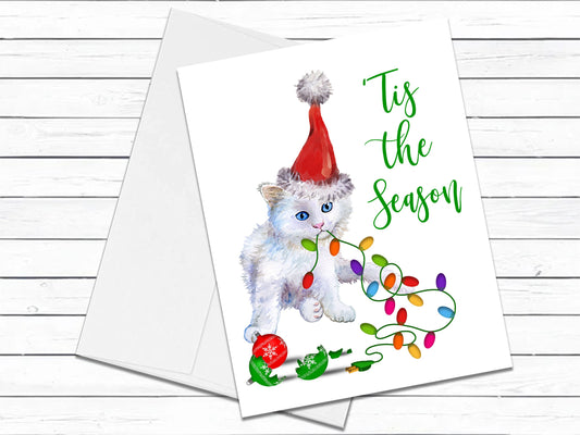 Persian Cat, Christmas Cards, Funny Holiday Cards, Cute Holiday Card, Cat Christmas Card, Holiday Card Set, Cat Lover Gift, Xmas Card Pack
