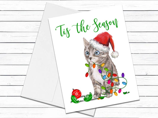 Ocicat Cat, Christmas Cards, Funny Holiday Cards, Cute Holiday Card, Cat Christmas Card, Holiday Card Set, Cat Lover Gift, Xmas Card Pack