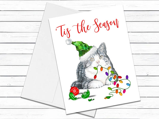 American Shorthair Cat 2, Christmas Cards, Funny Holiday Cards, Cute Holiday Card, Cat Christmas Card, Holiday Card Set, Cat Lover Gift