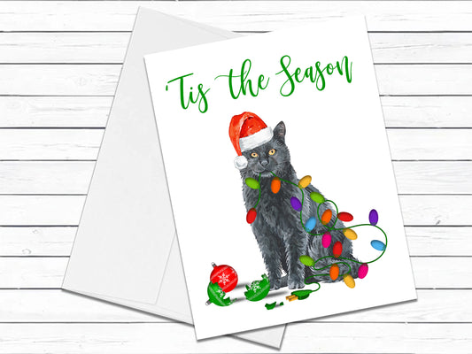 Chartreux Cat, Christmas Cards, Funny Holiday Cards, Cute Holiday Card, Cat Christmas Card, Holiday Card Set, Cat Lover Gift, Cat Mom Gift