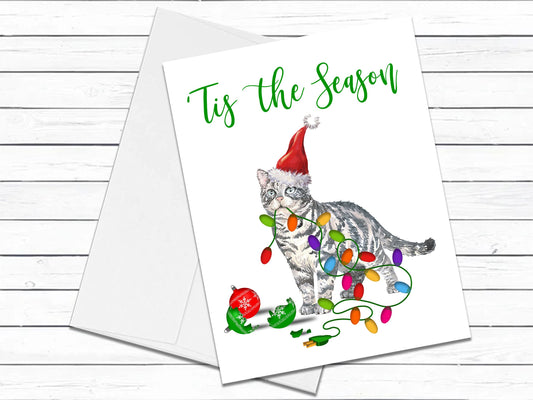American Shorthair Cat, Christmas Cards, Funny Holiday Cards, Cute Holiday Card, Cat Christmas Card, Holiday Card Set, Cat Lover Gift