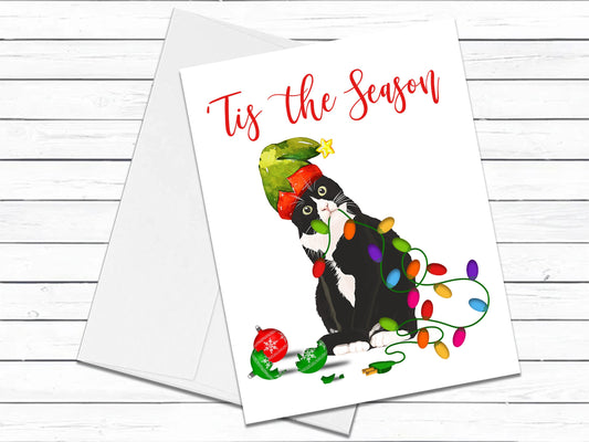 American Shorthair Black Cat, Christmas Cards, Funny Holiday Cards, Cute Holiday Card, Cat Christmas Card, Holiday Card Set, Cat Lover Gift