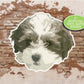 Shih Poo Sticker, Small Dog Sticker, Gift for Mom, Cute Dog Sticker, Water Bottle Stickers, Vinyl Sticker Laptop, Shih Tzu Poodle Mix Breed