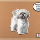 Shih-Tzu Dog Sticker, Cute Dog Sticker, Vinyl Decal, Journal Laptop, Dog Mom Sticker, Shih Tzu Gifts, Pet Stickers, Dog Planner Stickers
