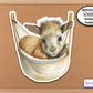 Sheep in Hammock Sticker, Water Bottle Sticker, Journal Stickers, Laptop Stickers, Camping Sticker, Cozy Sticker, Cute Farm Animal Sticker