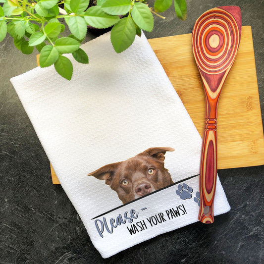 a brown dog on a white towel next to a wooden spoon